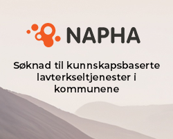Artikkel på napha.no om å etablere kunnskapsbaserte lavterskeltjenester i kommunene