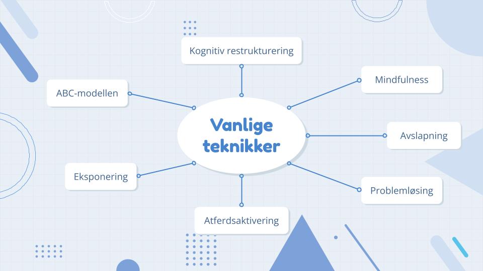 2024 - Kognitiv atferdsterapi (2)
