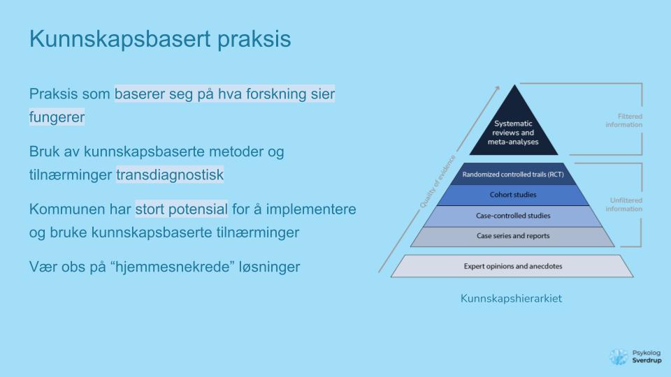 2025 - Nødvendig helsehjelp Hemsedal (5)