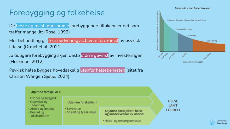 2025 - Nødvendig helsehjelp Hemsedal (6)